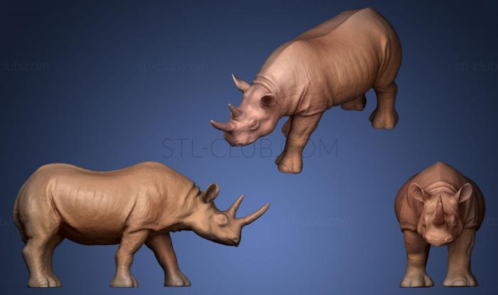 3D model Rhinocerous 1 (STL)
